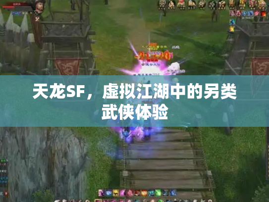 天龙SF，虚拟江湖中的另类武侠体验