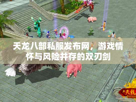 天龙八部私服发布网，游戏情怀与风险并存的双刃剑