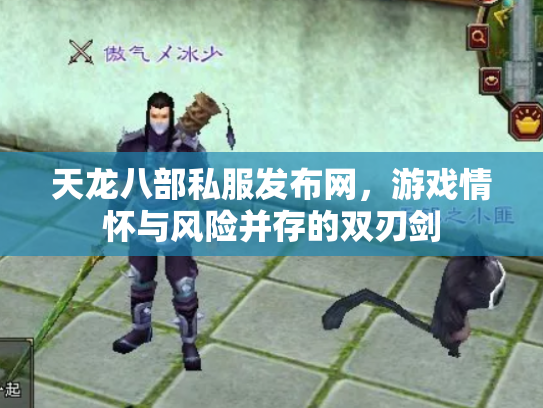天龙八部私服发布网，游戏情怀与风险并存的双刃剑