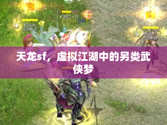 天龙sf，虚拟江湖中的另类武侠梦