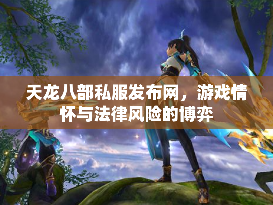 天龙八部私服发布网，游戏情怀与法律风险的博弈