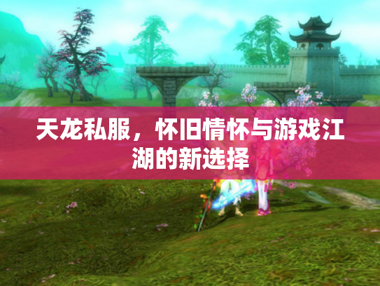 天龙私服，怀旧情怀与游戏江湖的新选择