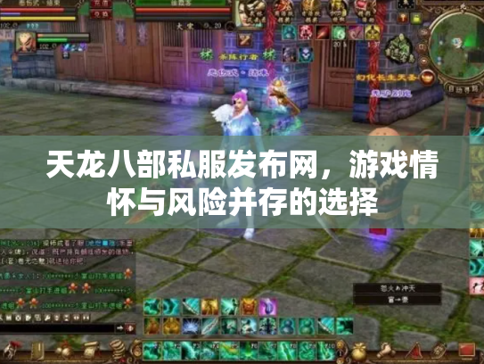 天龙八部私服发布网，游戏情怀与风险并存的选择