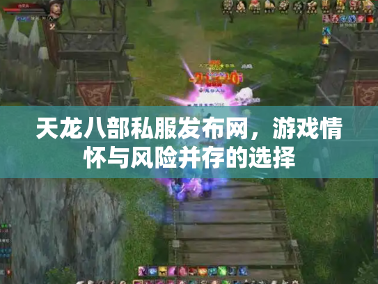 天龙八部私服发布网，游戏情怀与风险并存的选择