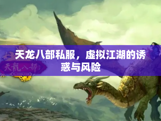 天龙八部私服，虚拟江湖的诱惑与风险