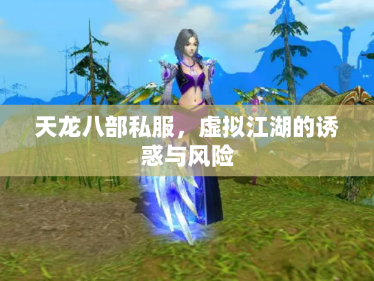 天龙八部私服，虚拟江湖的诱惑与风险