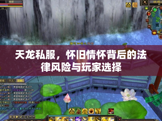 天龙私服，怀旧情怀背后的法律风险与玩家选择