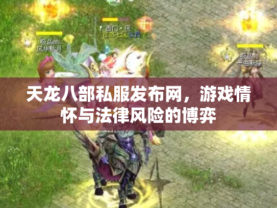 天龙八部私服发布网，游戏情怀与法律风险的博弈
