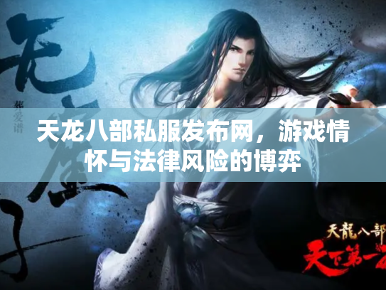 天龙八部私服发布网，游戏情怀与法律风险的博弈