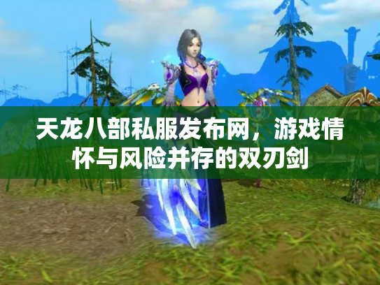天龙八部私服发布网，游戏情怀与风险并存的双刃剑