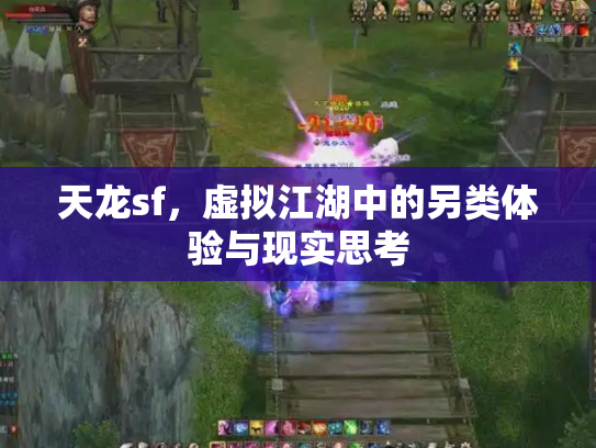 天龙sf，虚拟江湖中的另类体验与现实思考