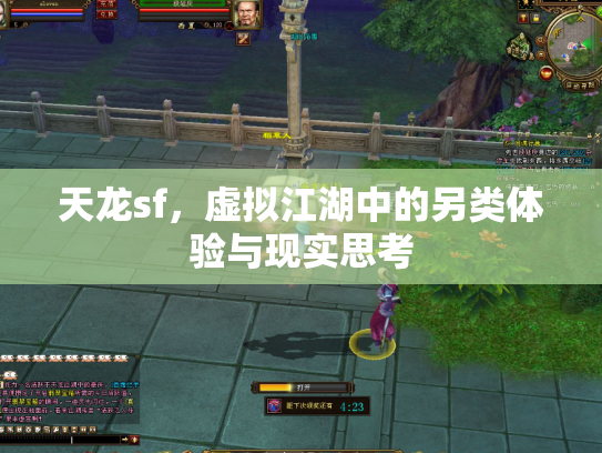 天龙sf，虚拟江湖中的另类体验与现实思考