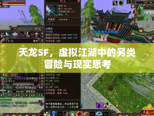 天龙SF，虚拟江湖中的另类冒险与现实思考