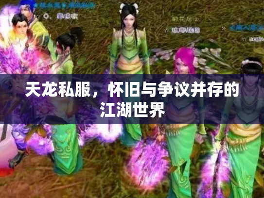 天龙私服，怀旧与争议并存的江湖世界