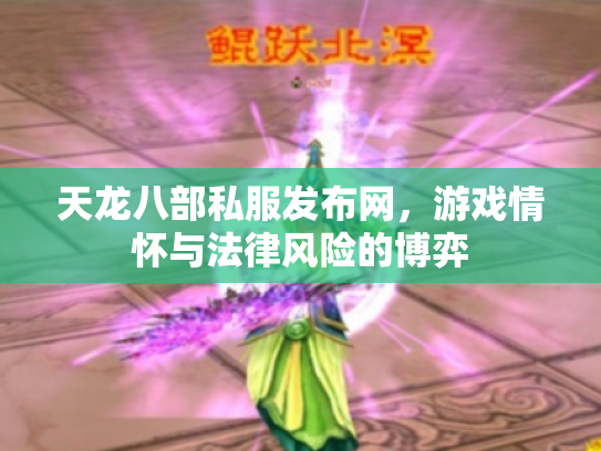 天龙八部私服发布网，游戏情怀与法律风险的博弈