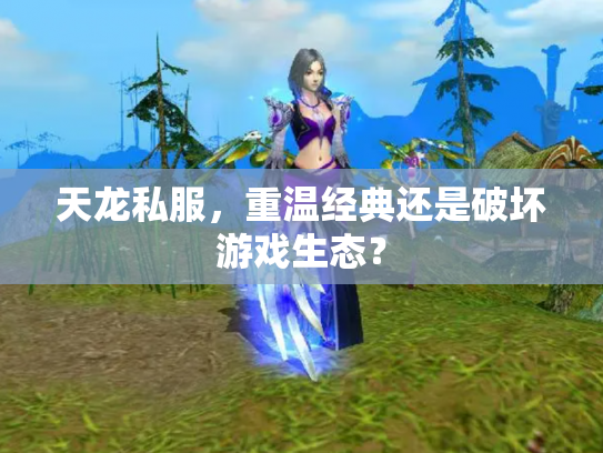 天龙私服，重温经典还是破坏游戏生态？