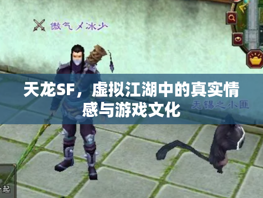天龙SF，虚拟江湖中的真实情感与游戏文化