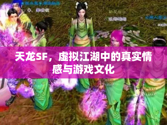 天龙SF，虚拟江湖中的真实情感与游戏文化