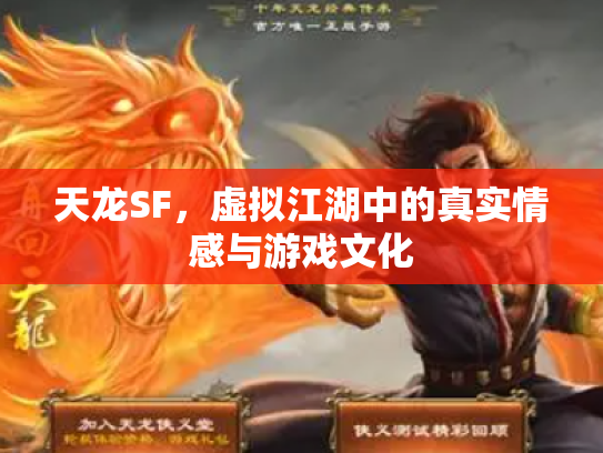 天龙SF，虚拟江湖中的真实情感与游戏文化