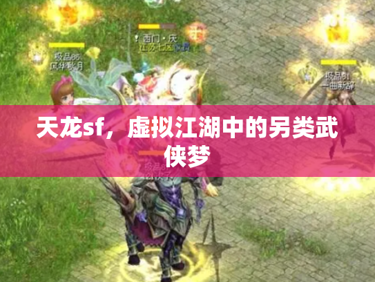 天龙sf，虚拟江湖中的另类武侠梦
