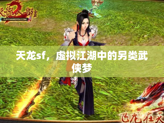 天龙sf，虚拟江湖中的另类武侠梦