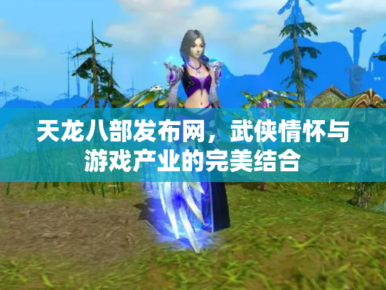 天龙八部发布网，武侠情怀与游戏产业的完美结合