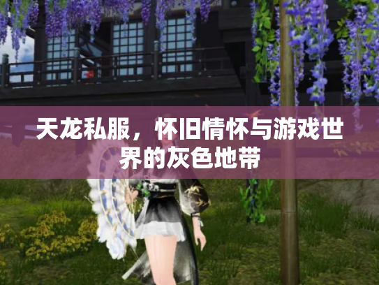 天龙私服，怀旧情怀与游戏世界的灰色地带