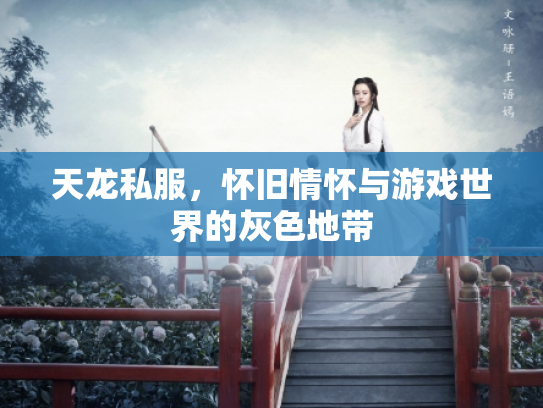天龙私服，怀旧情怀与游戏世界的灰色地带
