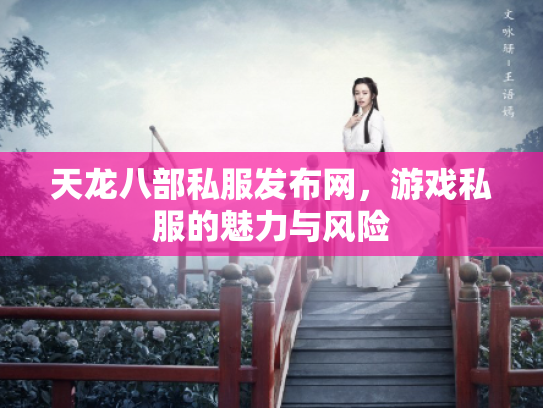 天龙八部私服发布网，游戏私服的魅力与风险