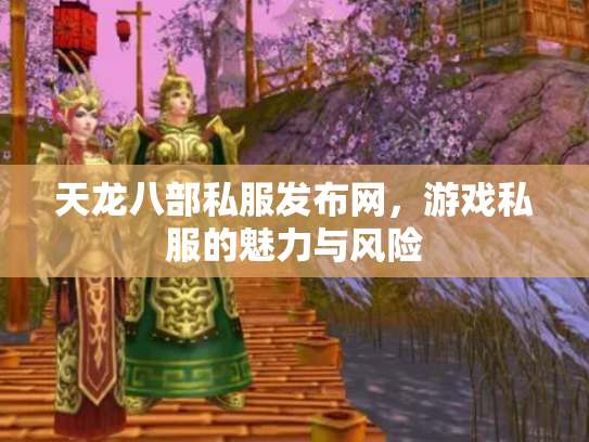 天龙八部私服发布网，游戏私服的魅力与风险