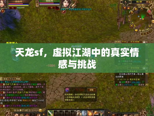 天龙sf，虚拟江湖中的真实情感与挑战