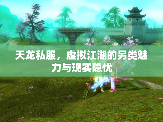 天龙私服，虚拟江湖的另类魅力与现实隐忧