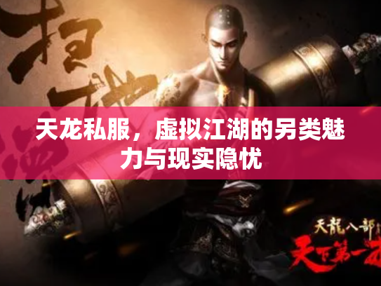天龙私服，虚拟江湖的另类魅力与现实隐忧