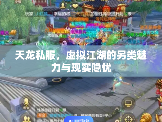天龙私服，虚拟江湖的另类魅力与现实隐忧