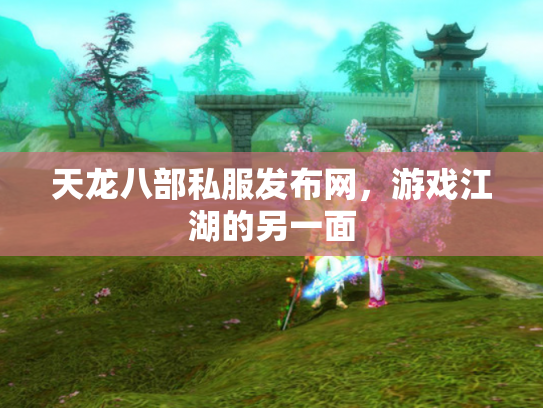 天龙八部私服发布网，游戏江湖的另一面