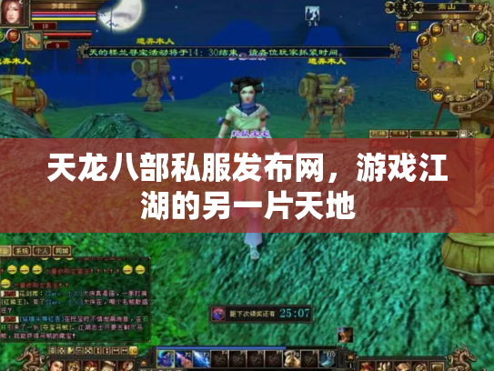 天龙八部私服发布网，游戏江湖的另一片天地