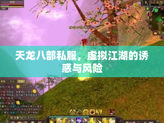 天龙八部私服，虚拟江湖的诱惑与风险