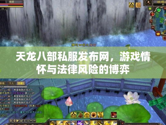 天龙八部私服发布网，游戏情怀与法律风险的博弈