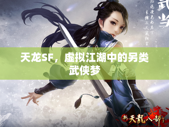 天龙SF，虚拟江湖中的另类武侠梦