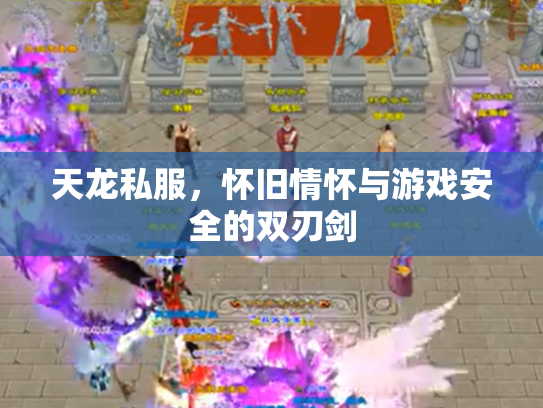 天龙私服，怀旧情怀与游戏安全的双刃剑