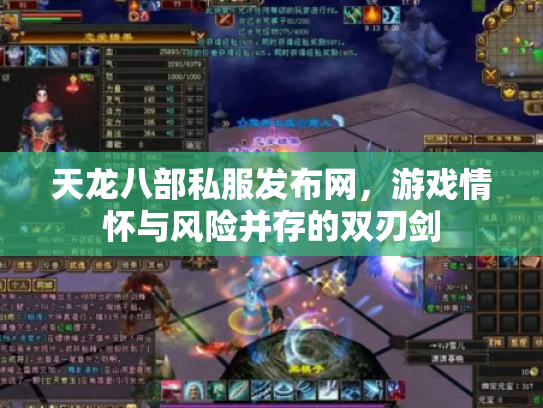 天龙八部私服发布网，游戏情怀与风险并存的双刃剑