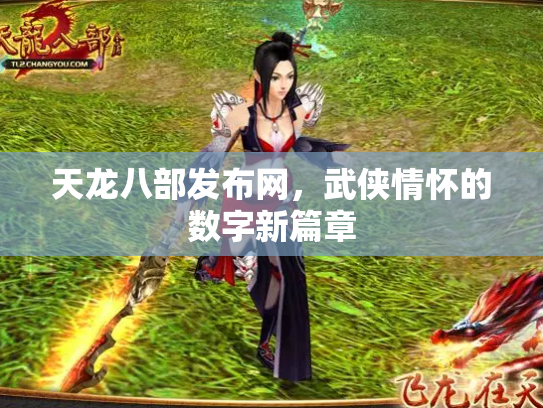 天龙八部发布网，武侠情怀的数字新篇章