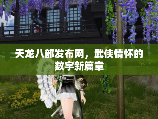天龙八部发布网，武侠情怀的数字新篇章