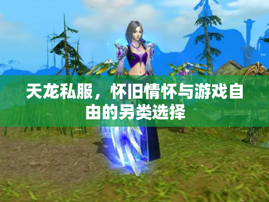 天龙私服，怀旧情怀与游戏自由的另类选择