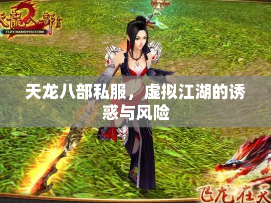 天龙八部私服，虚拟江湖的诱惑与风险