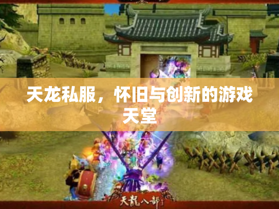 天龙私服，怀旧与创新的游戏天堂