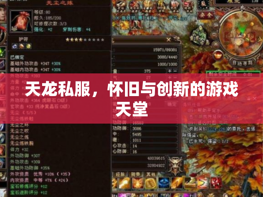 天龙私服，怀旧与创新的游戏天堂