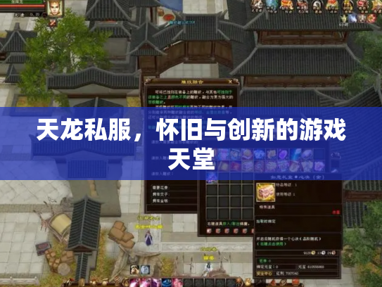 天龙私服，怀旧与创新的游戏天堂
