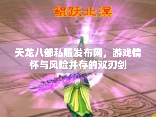 天龙八部私服发布网，游戏情怀与风险并存的双刃剑