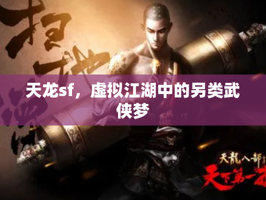 天龙sf，虚拟江湖中的另类武侠梦